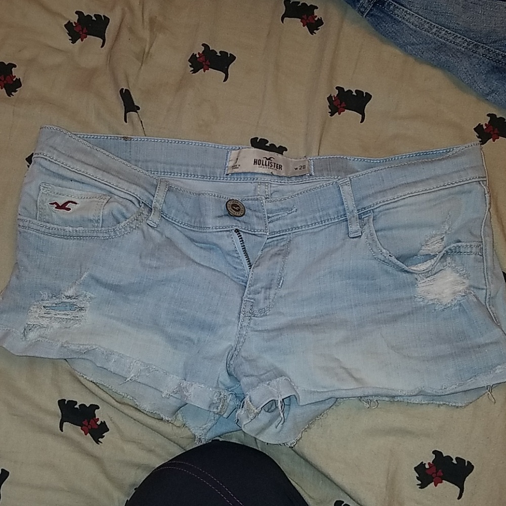Hollister shorts
